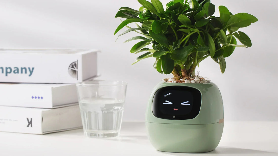 Why Every Plant Parent Needs a Smart Planter