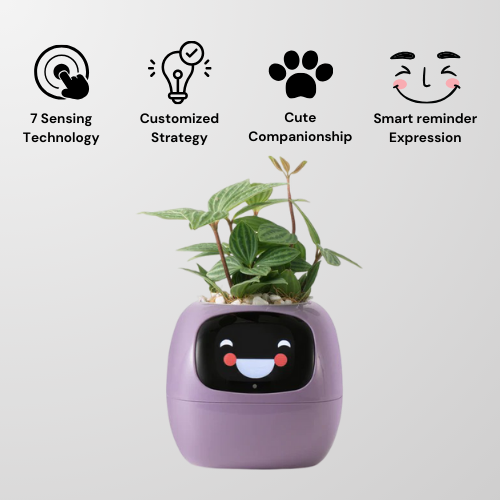 Lumea Bloom – AI Self-Caring Planter