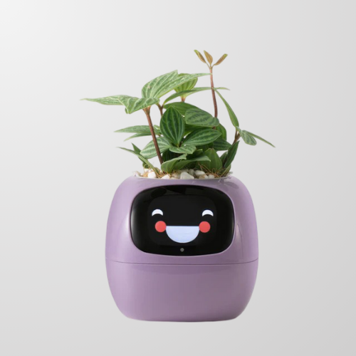 Lumea Bloom – AI Self-Caring Planter