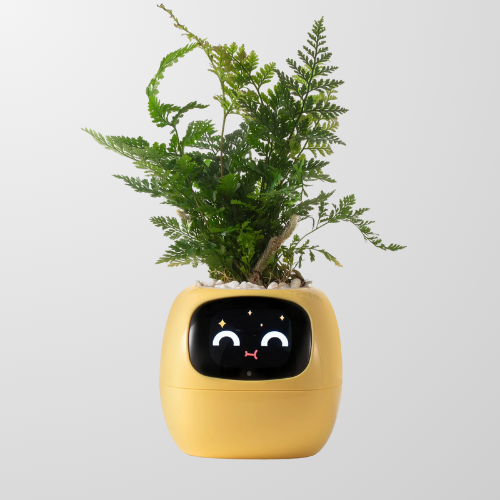 Lumea Bloom – AI Self-Caring Planter