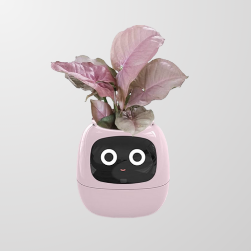 Lumea Bloom – AI Self-Caring Planter