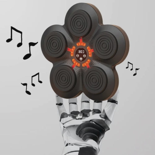 Echopunch Music Hub